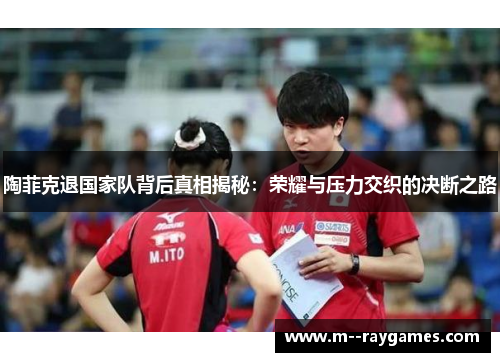 陶菲克退国家队背后真相揭秘：荣耀与压力交织的决断之路